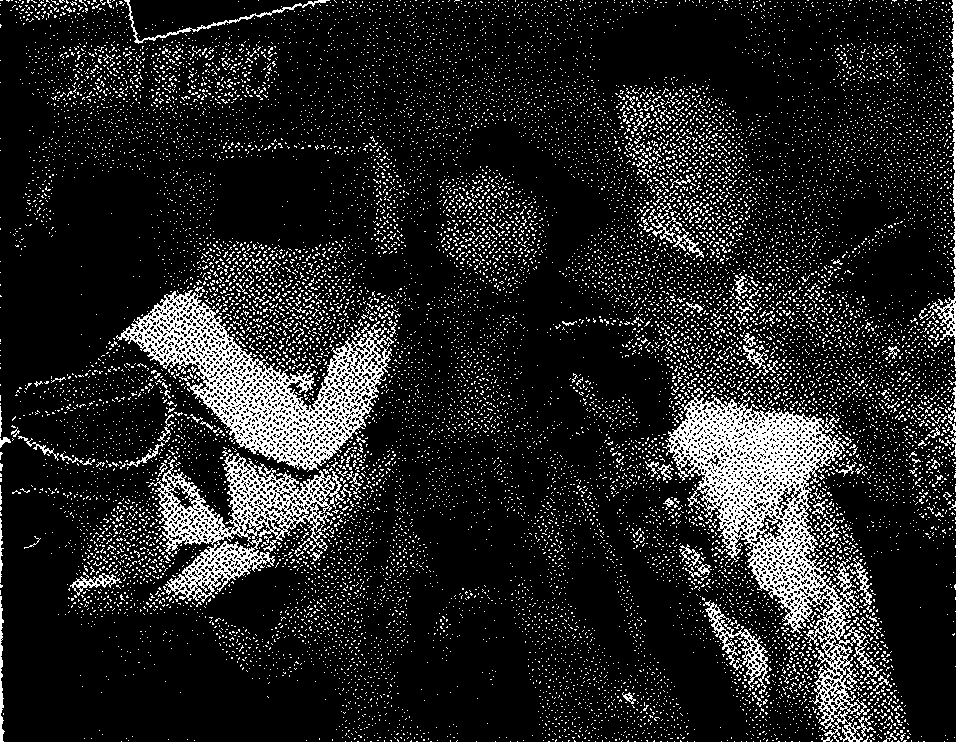 ���_�����̏̍����󂯂��r�c